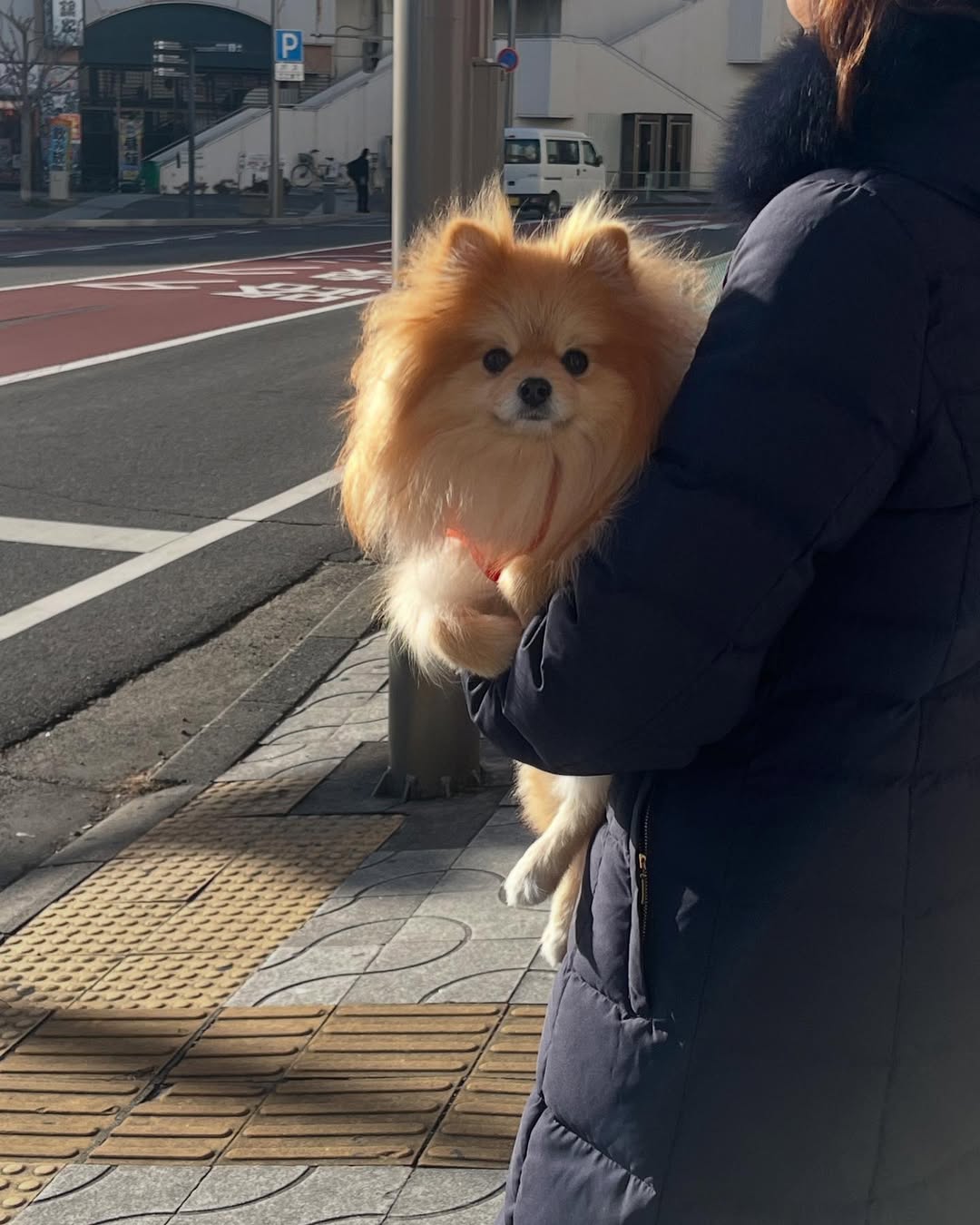蔵元焙煎茶寮 京や八右衛門