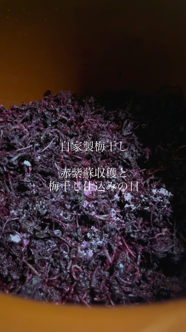 さだ助