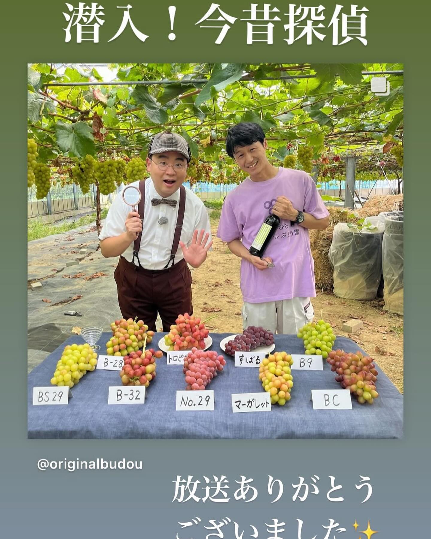 中村オリジナルぶどう園