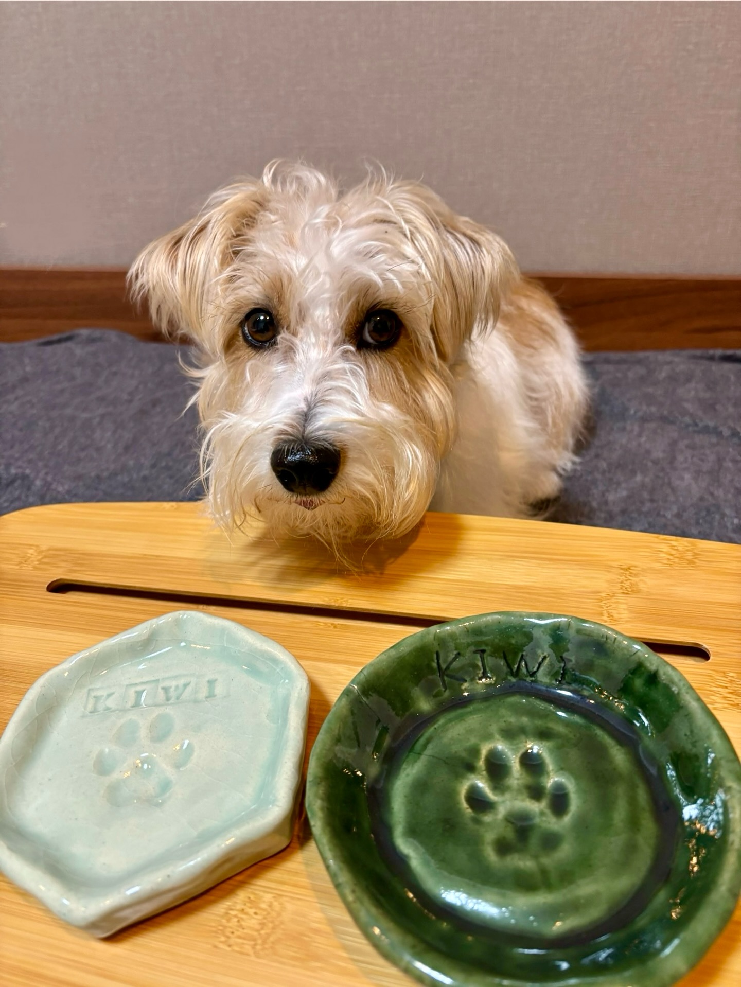 ダラスヴィレッジ