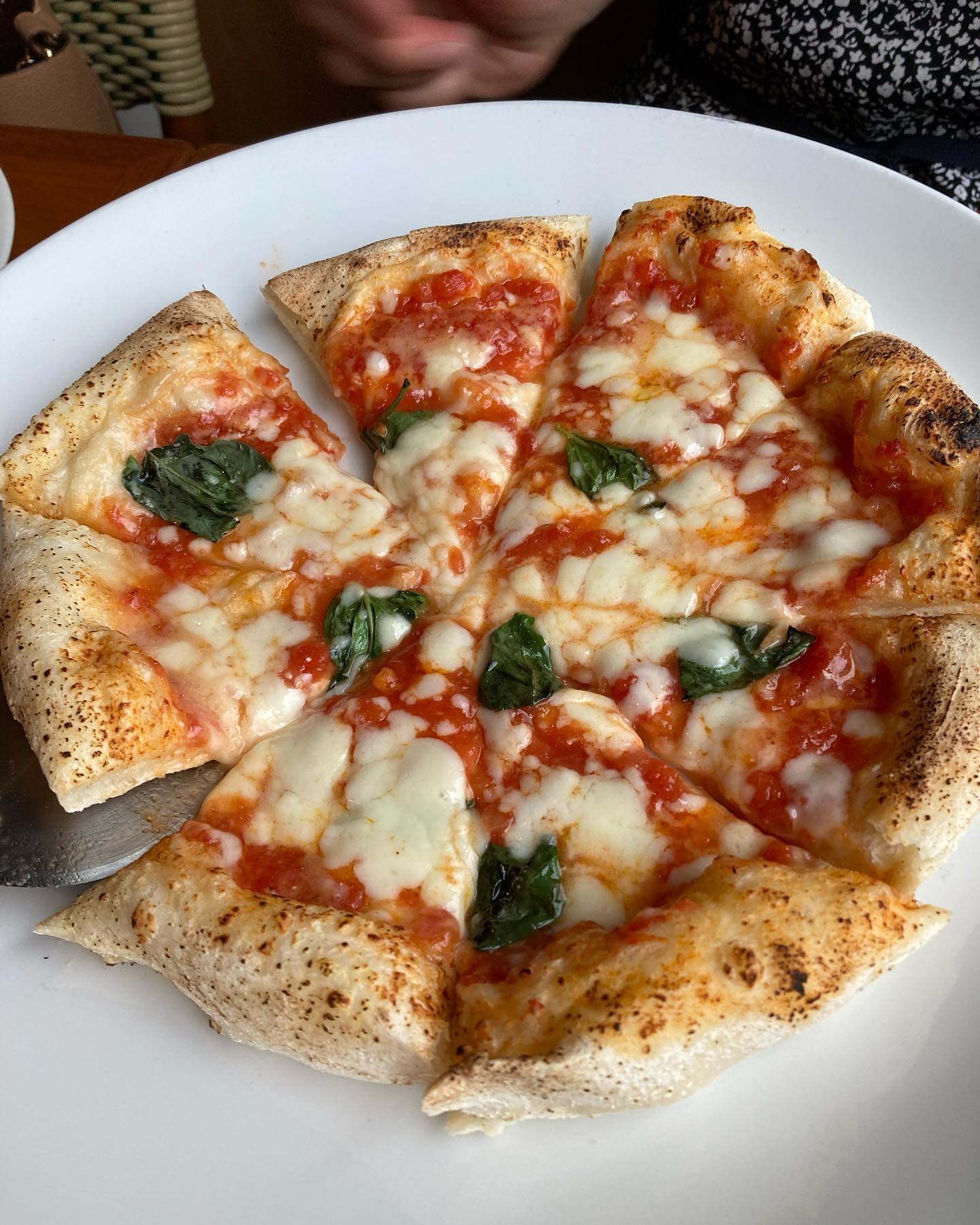 ヴィーノ ロッソ Vino Rosso