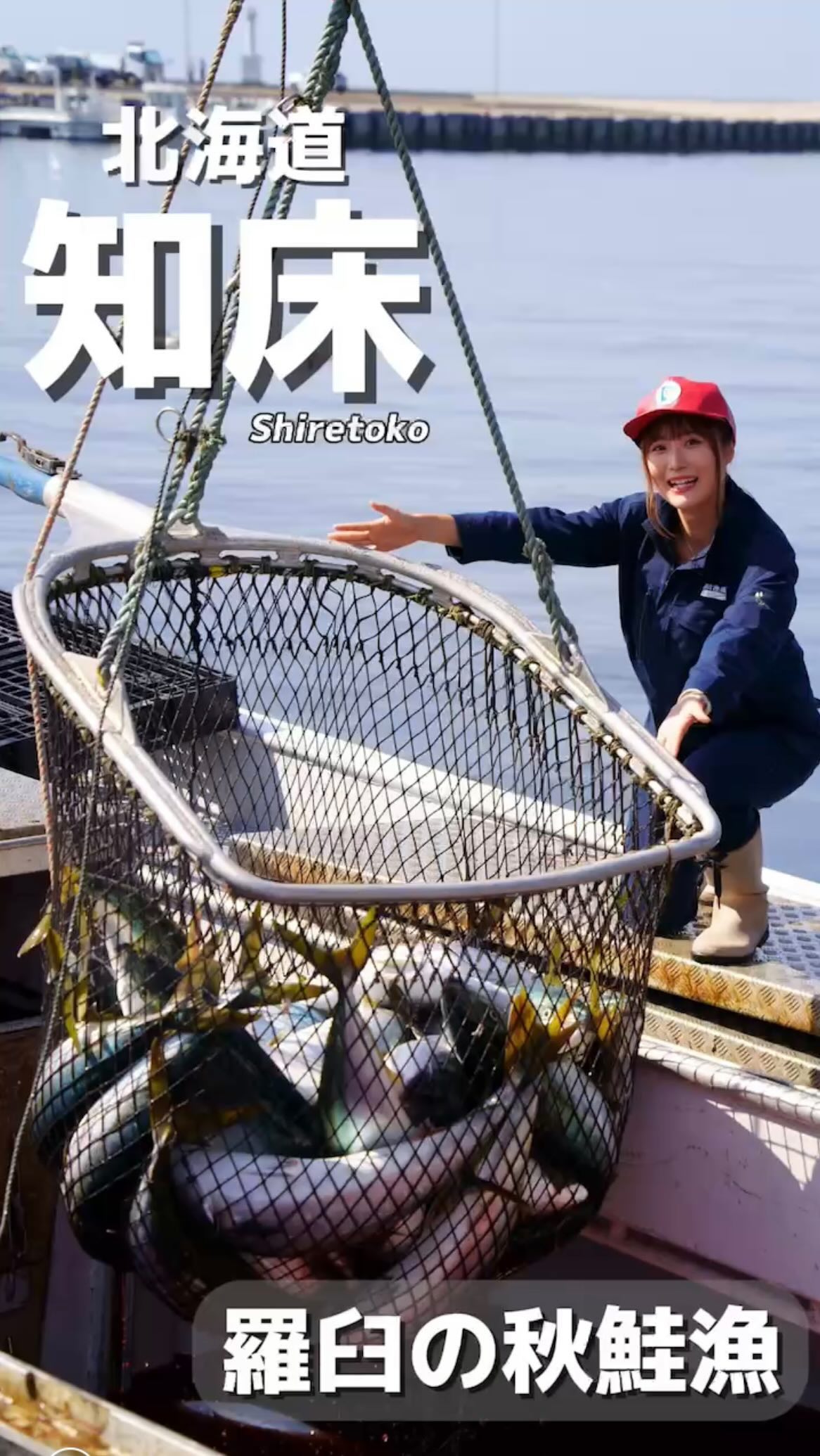 羅臼漁協直営店 海鮮工房