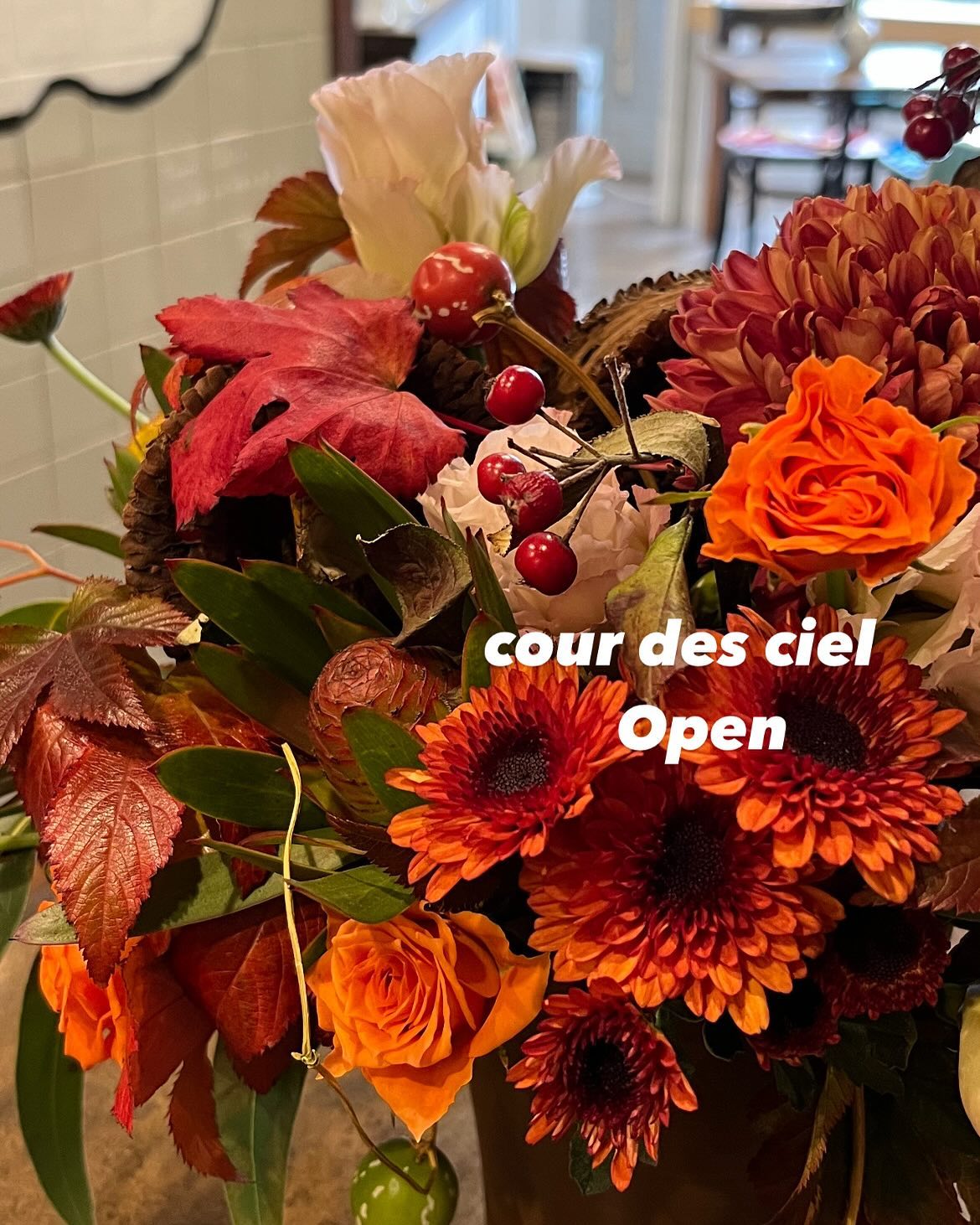 スコーンドルフィン