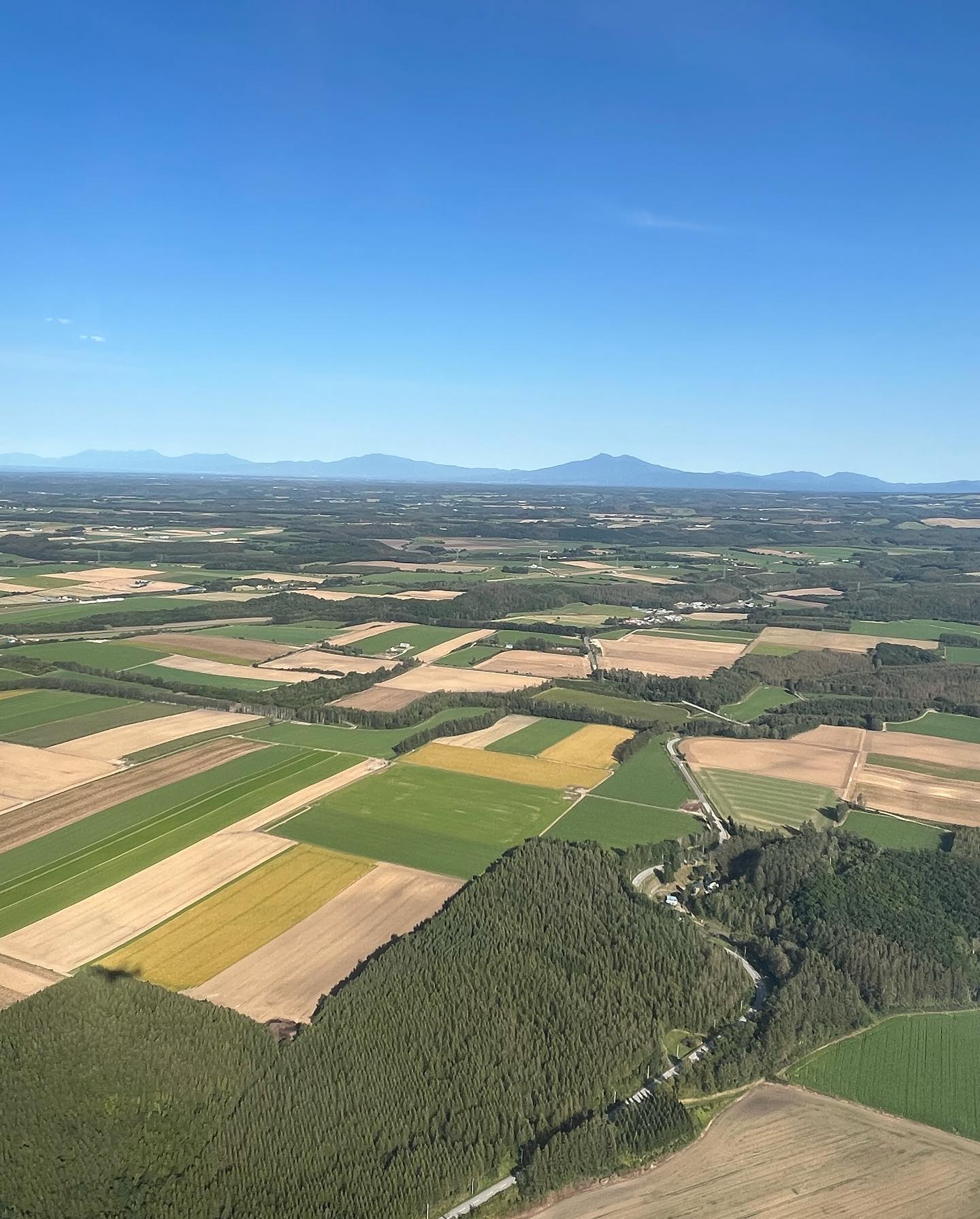 コーヒー&お食事 リブラぴあ~の