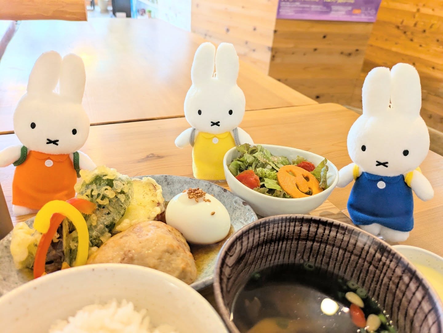 ドモ キッチン キャンバス