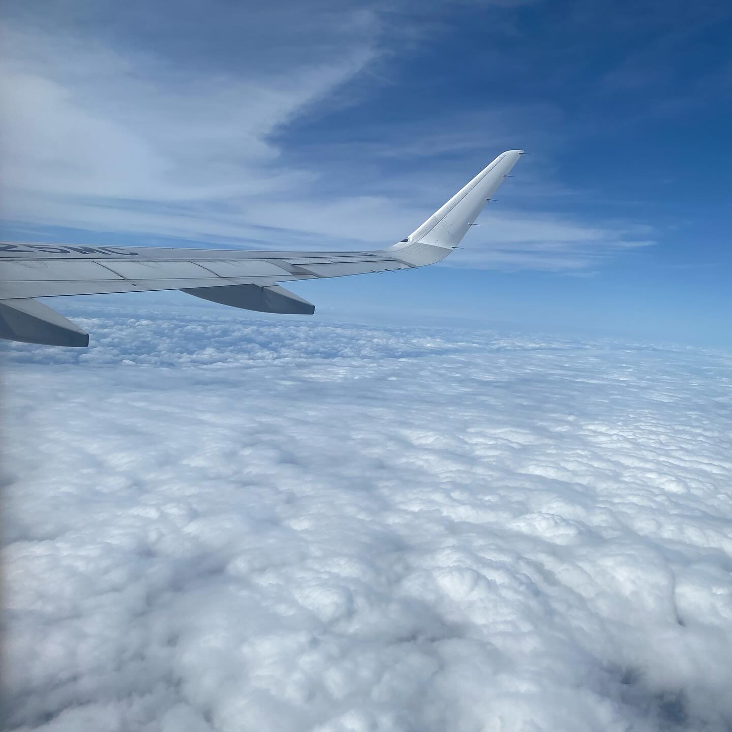 黄金色の豚 羽田空港店