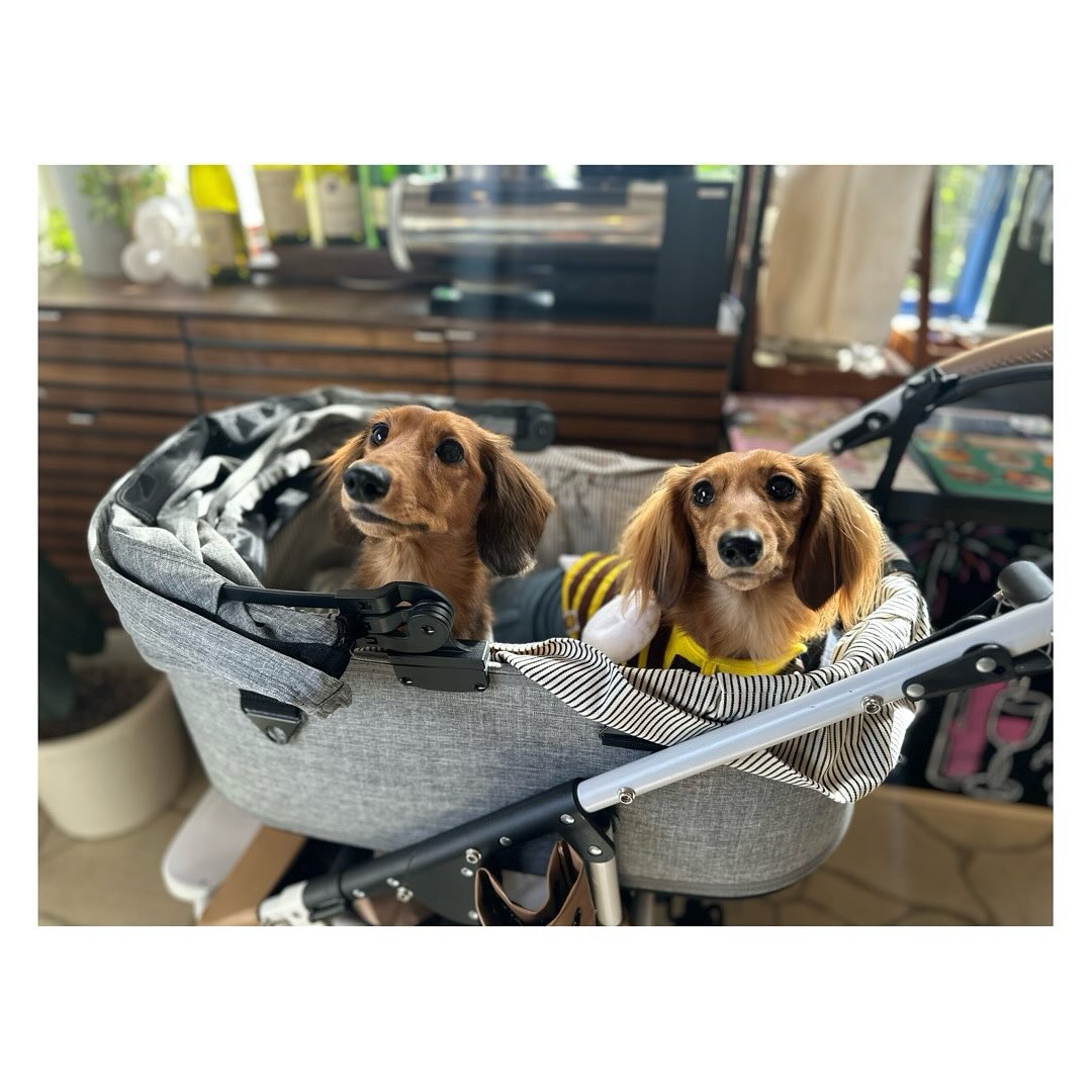 blue nine cafe(ブルー ナイン カフェ)