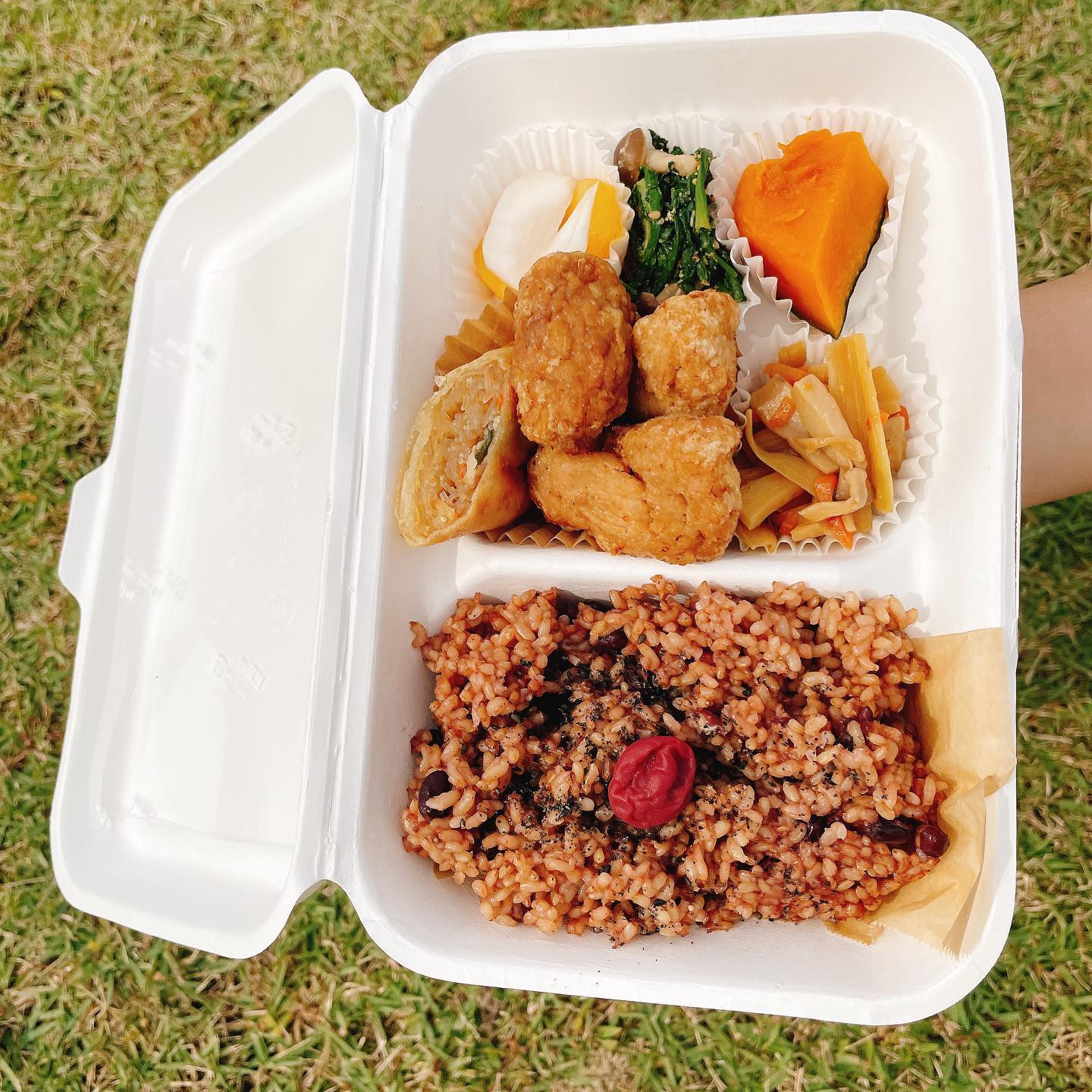 macrobi kitchen famille