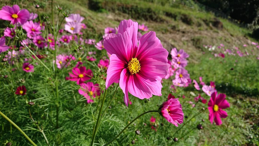 パン工房サンブロート 平戸店