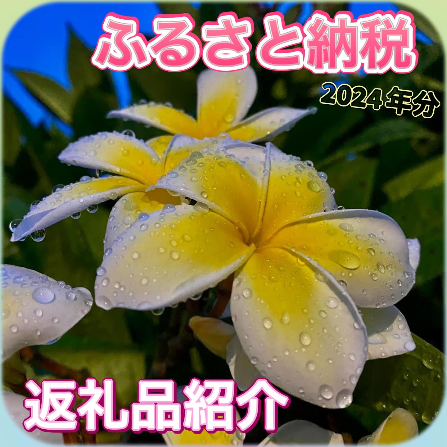 ㈱おおともチーズ工房