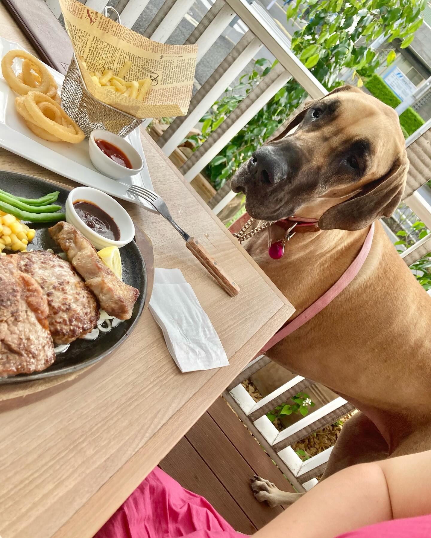 ステーキハウス松木 小平店