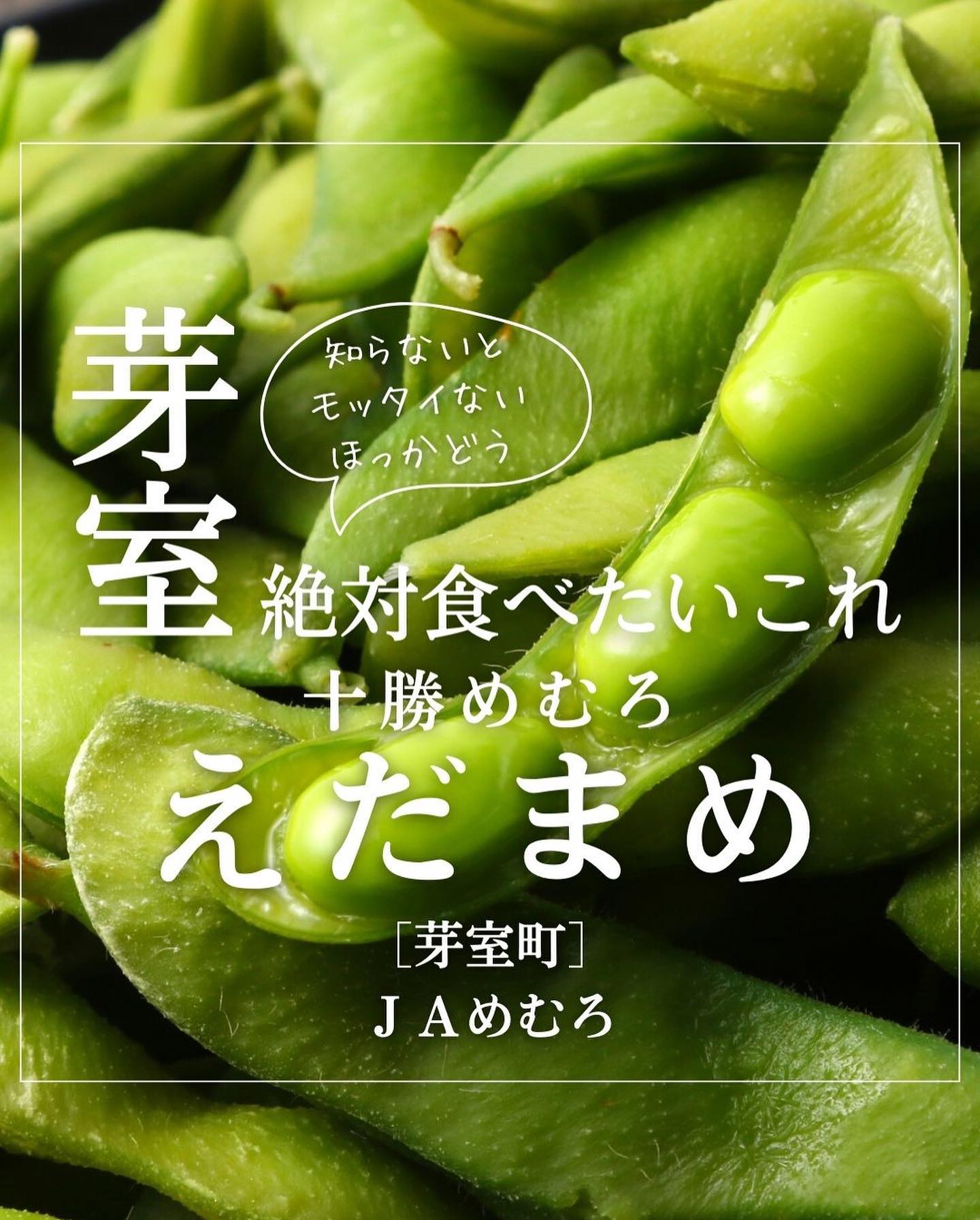 カウカウ ビレッジ