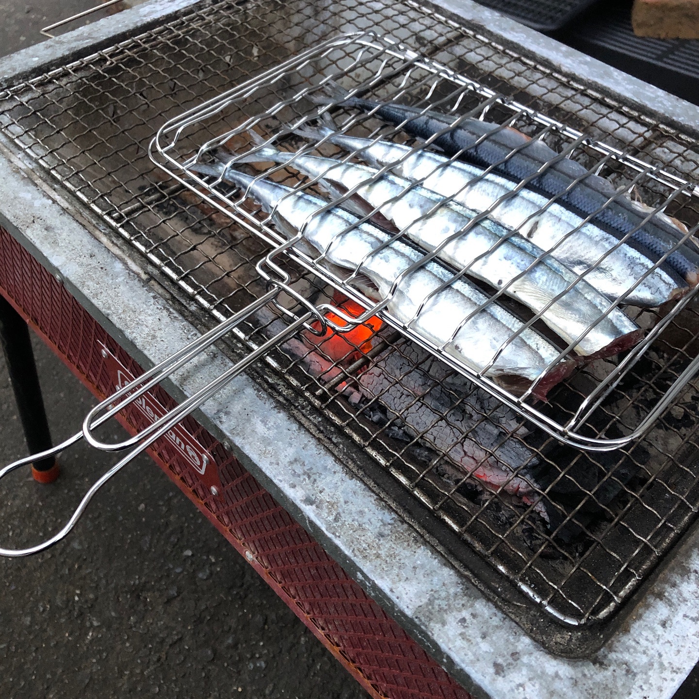 フレッシュイングローブ ナカモリ