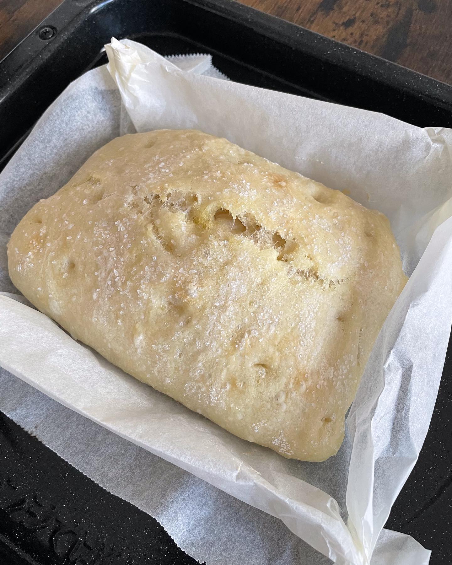 コットンチューリップ