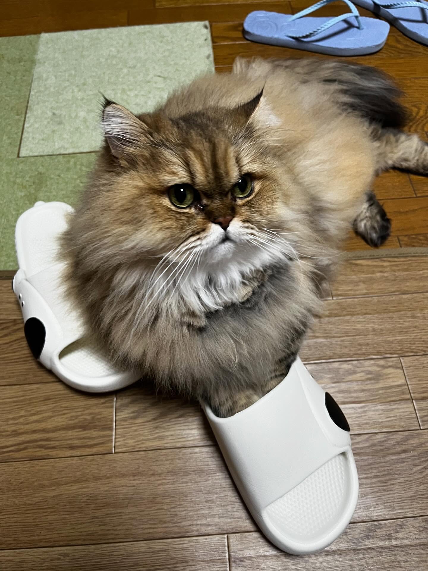 国立温泉湯楽の里