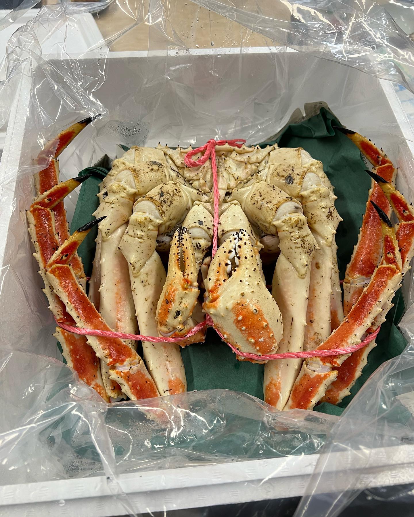 マルナカイチ杉山水産