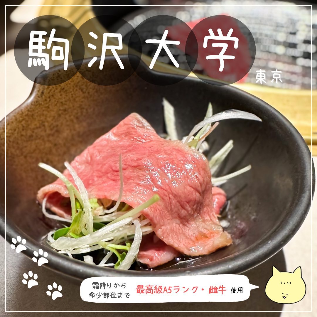 焼肉・ホルモンこそっと