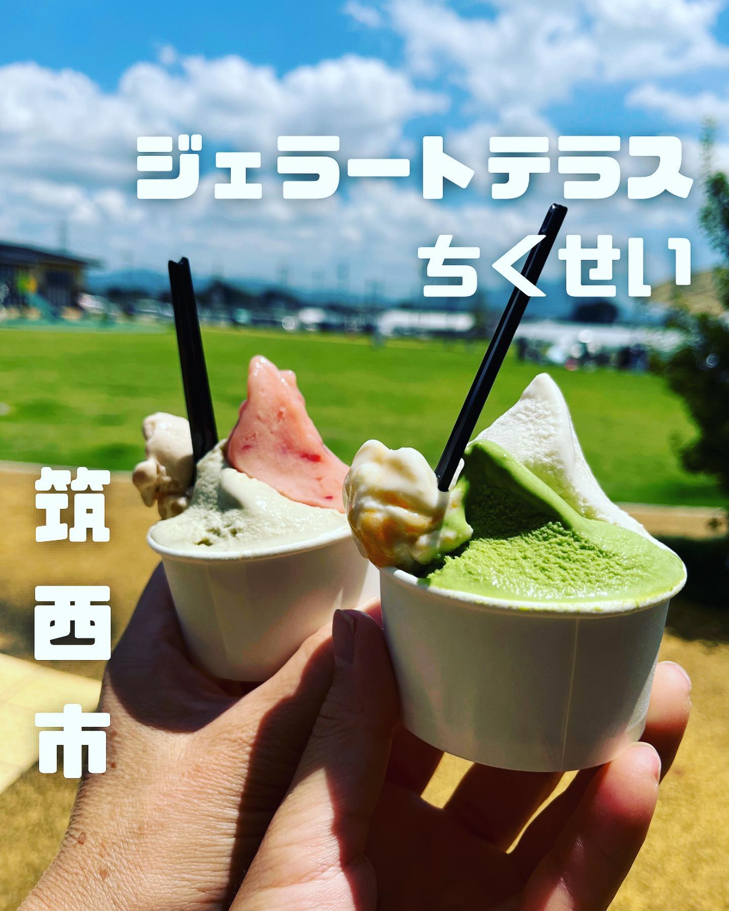 FARM's GELATO&PASTRY 結城店