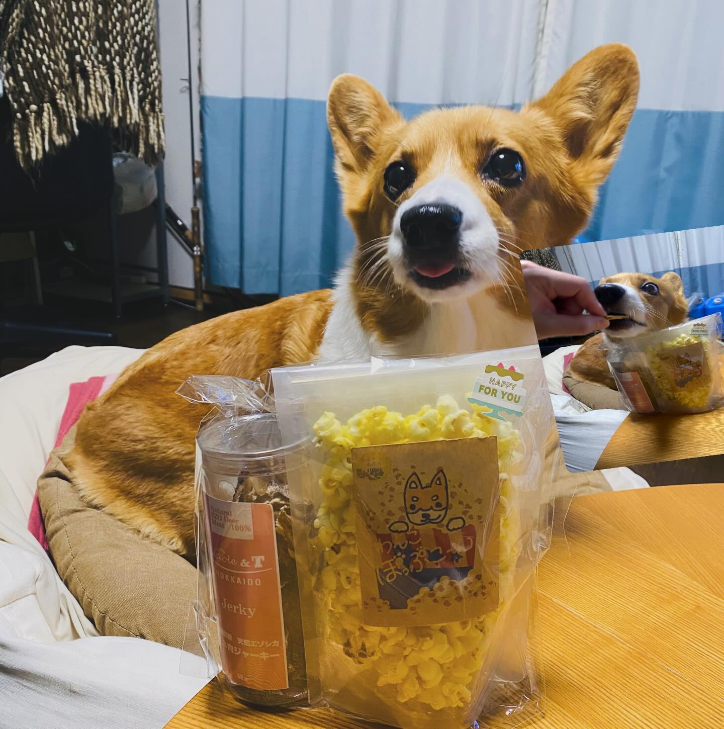 パティスリージョネス