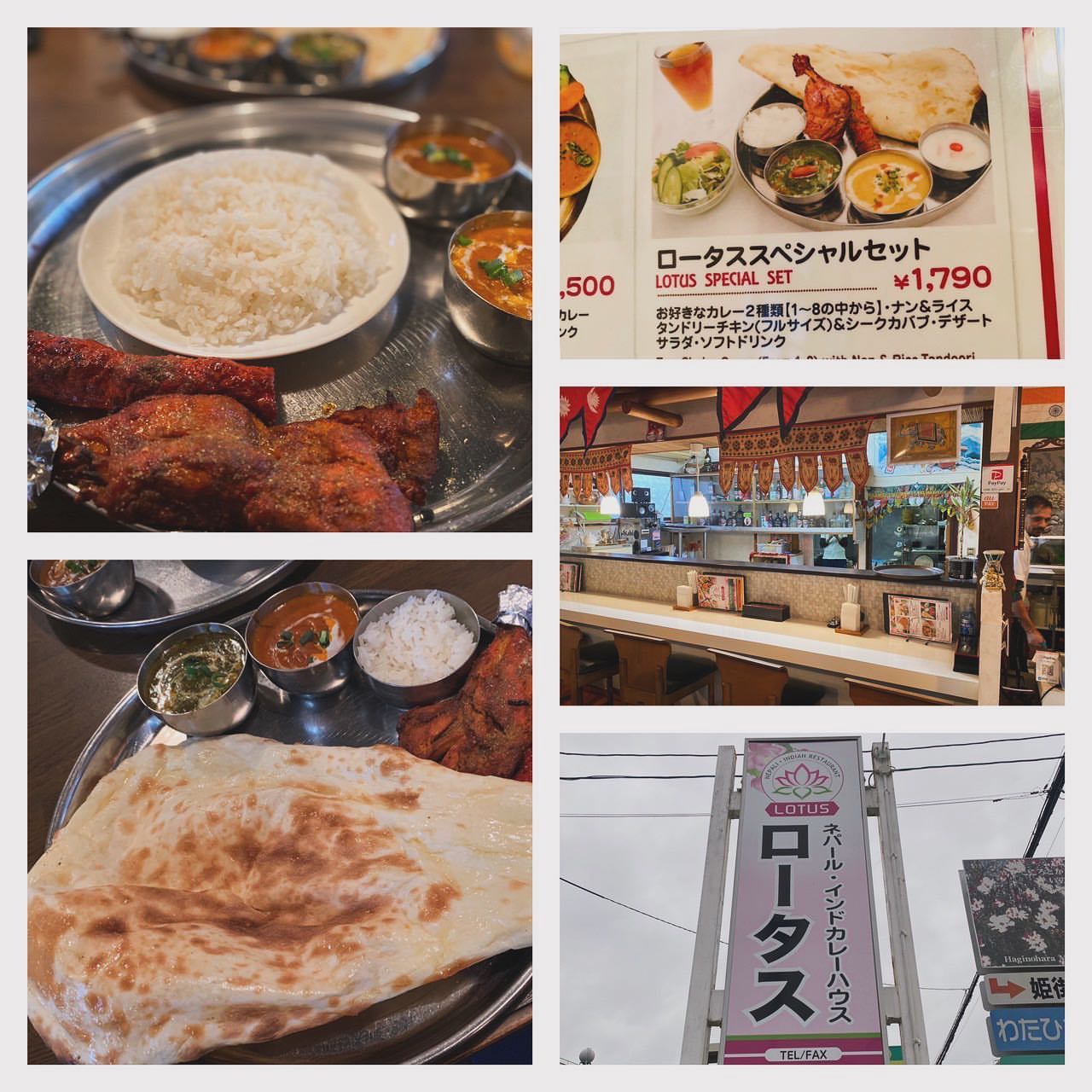 インドカレー ロータス