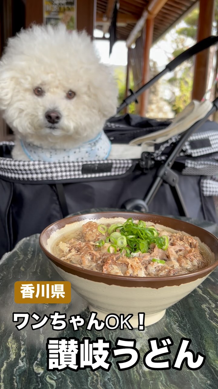 手打ちセルフうどん 海侍 其の壱 飯山店