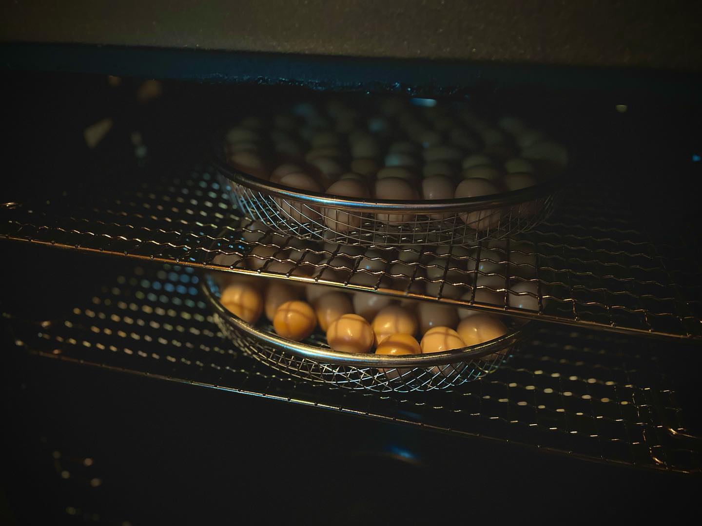 ベアード・ブルワリーガーデン修善寺