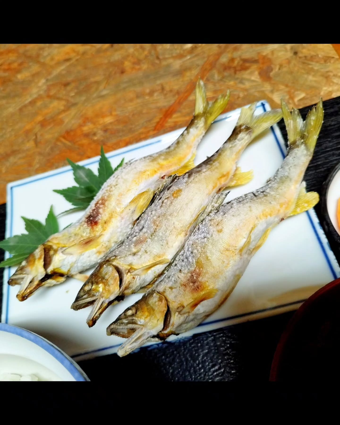 一ツ石観光ヤナ