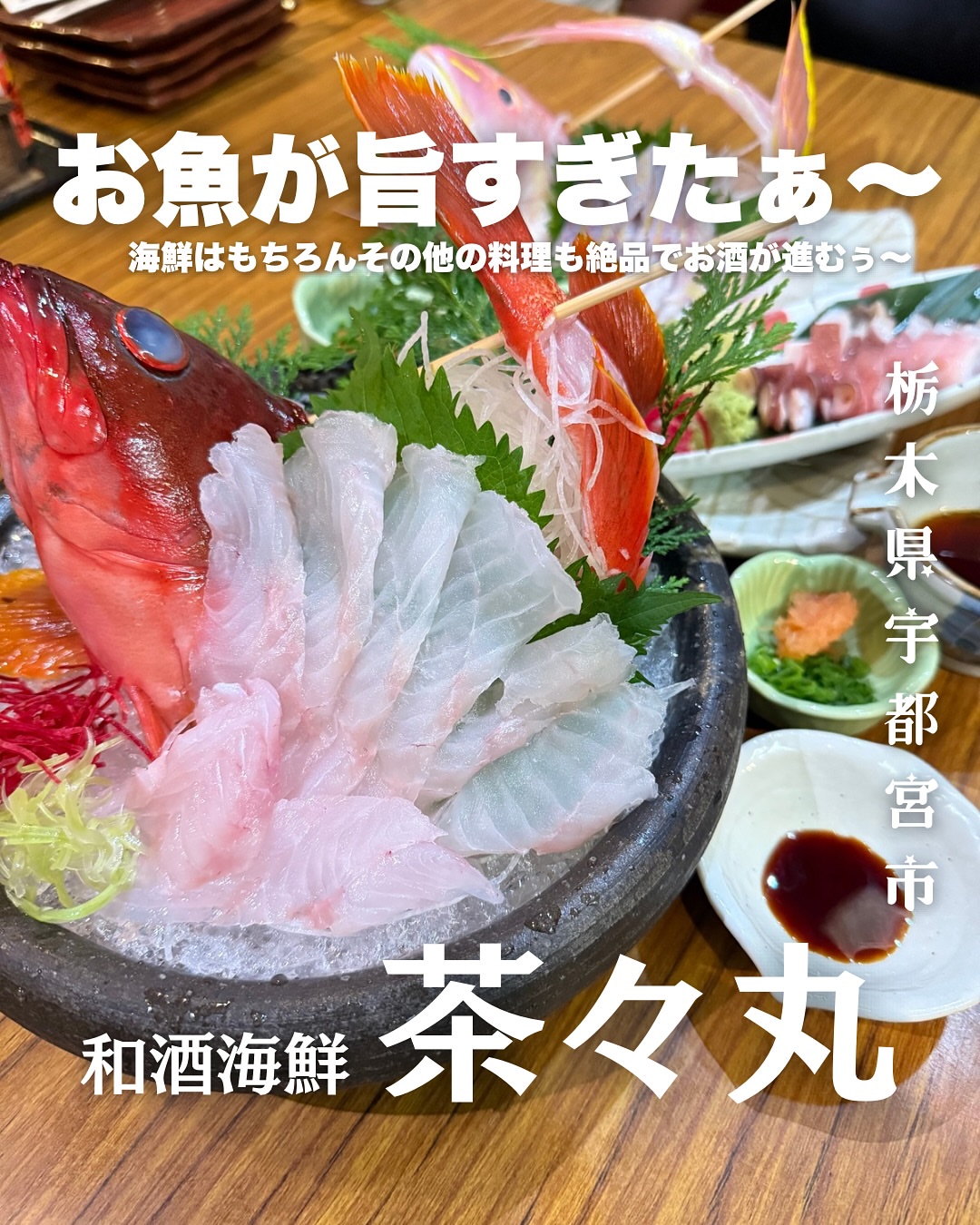 和酒海鮮 茶々丸