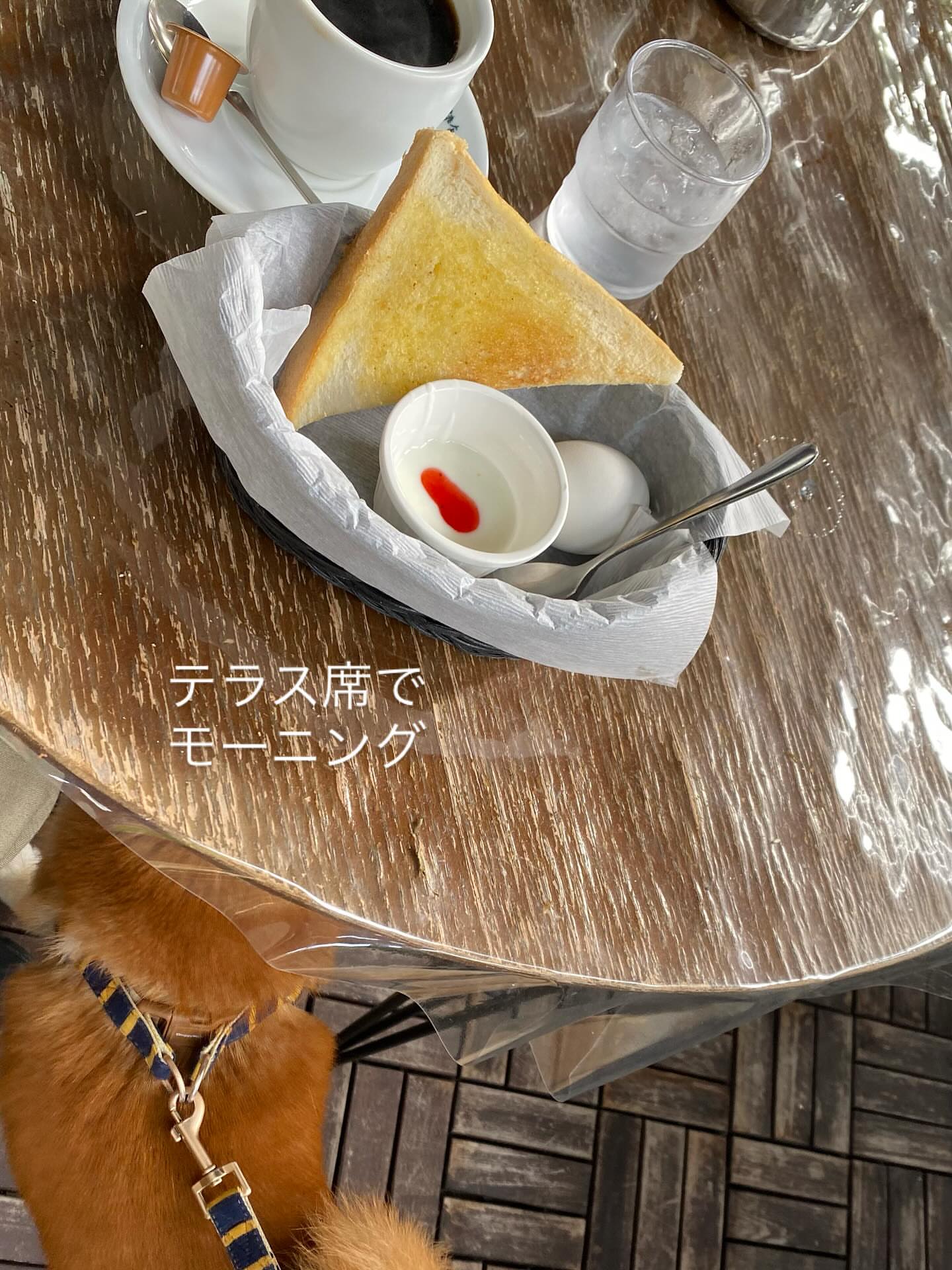 ドッグカフェ Dag