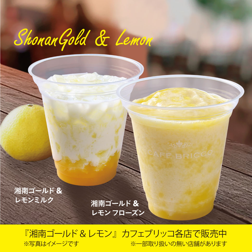 カフェ ブリッコ 水戸店