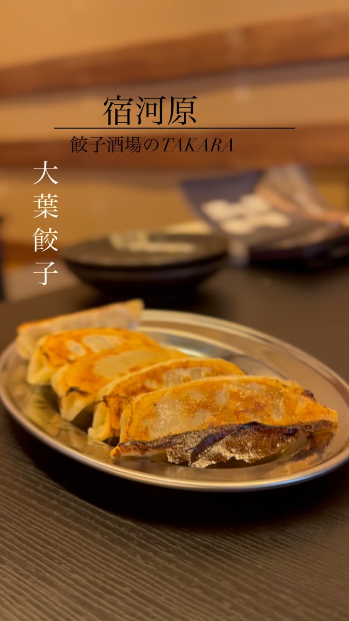 餃子酒場のTAKARA