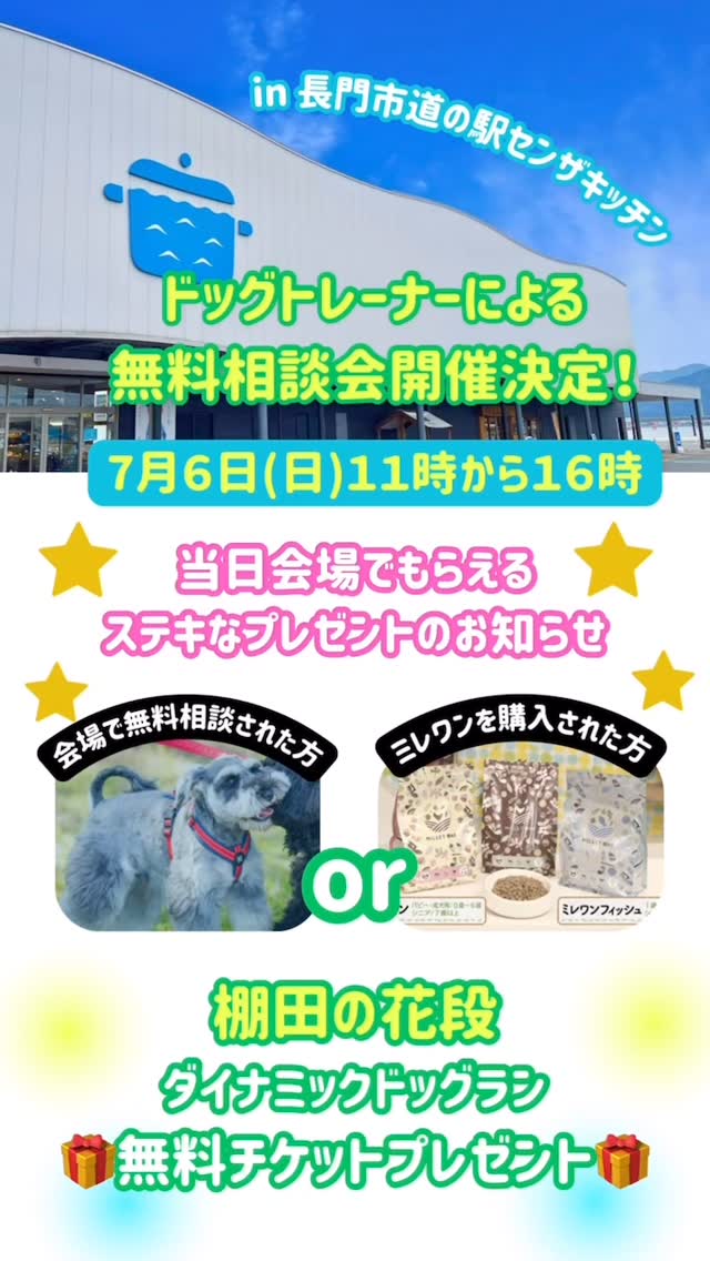 仙崎らーめん はれるや