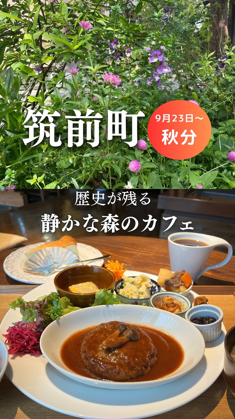 かふぇ やまぼうし