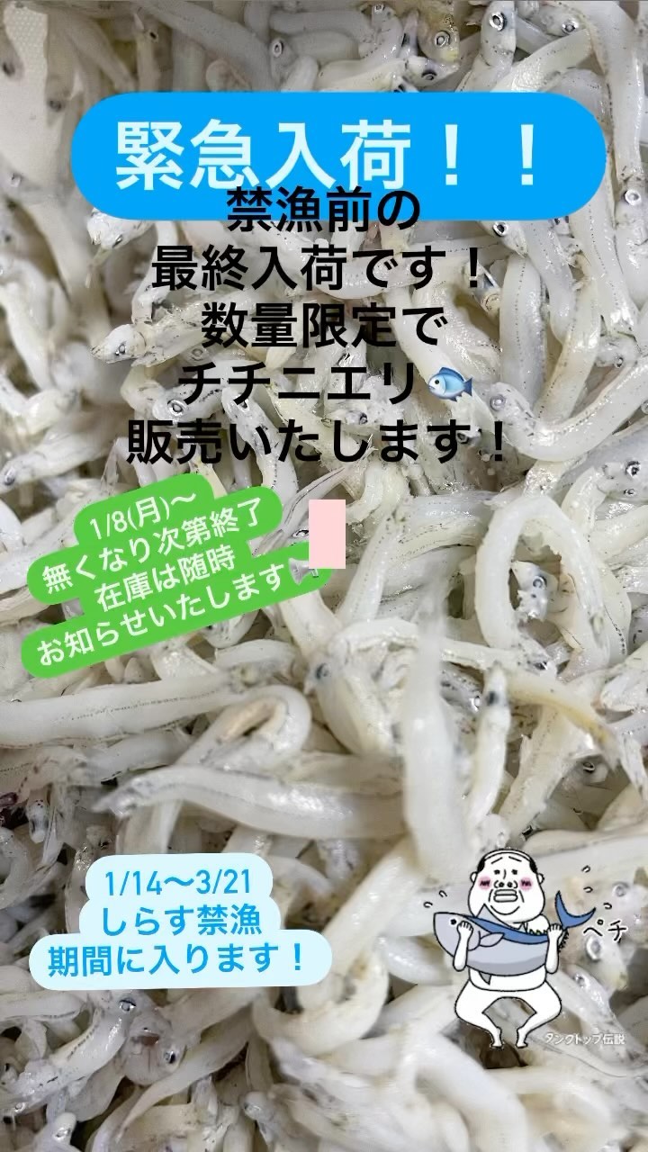 しらすの美吉丸