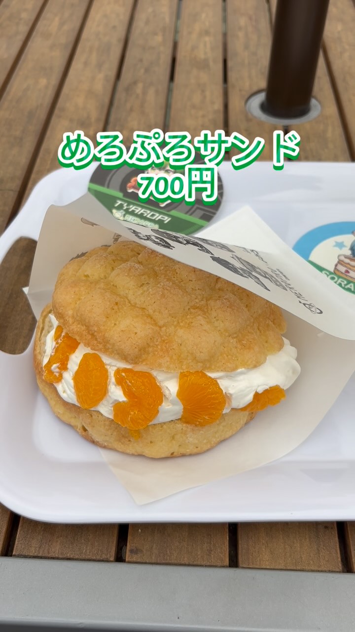 ロブソンフライズ