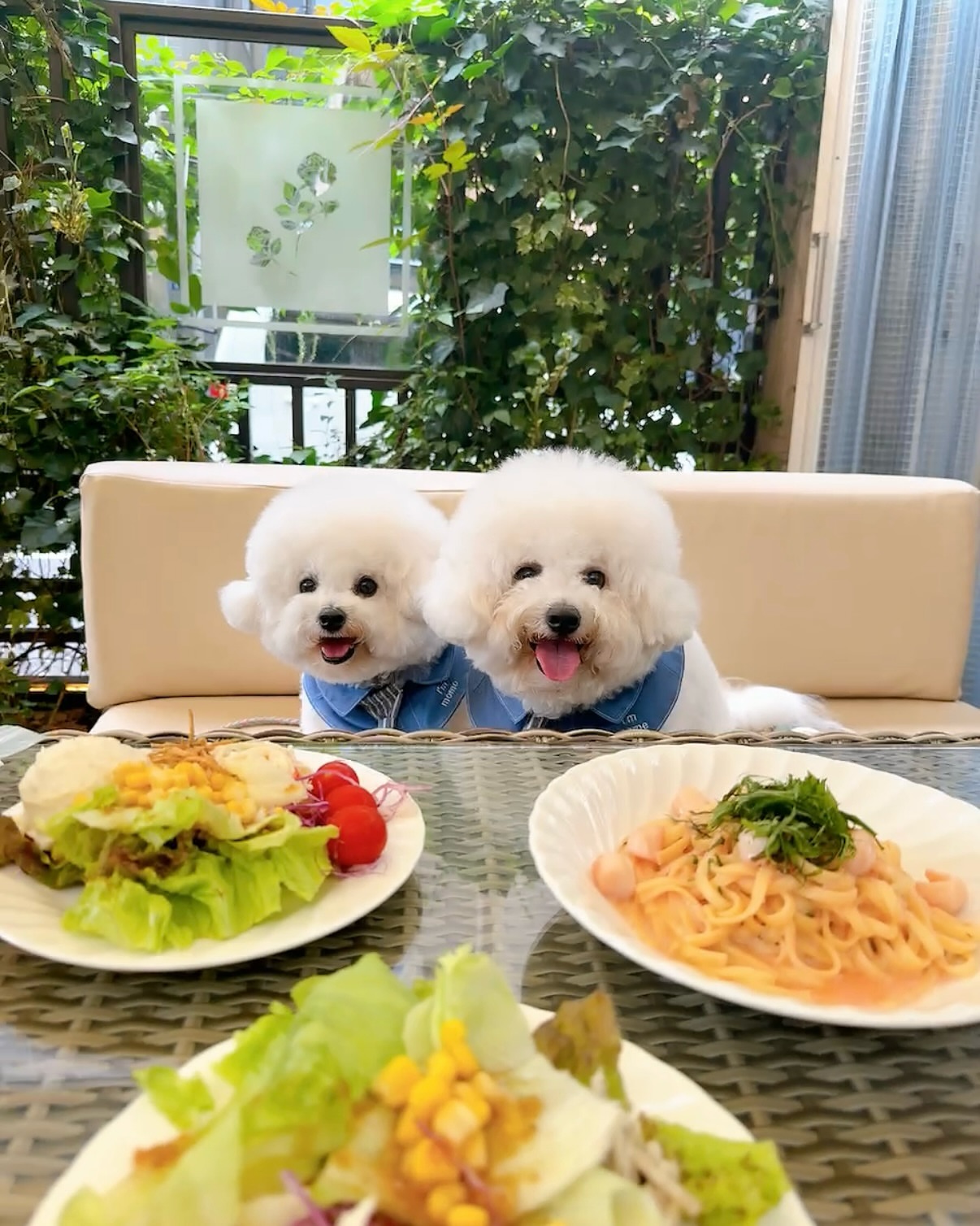 In The Garden 135ホテルローズガーデン新宿