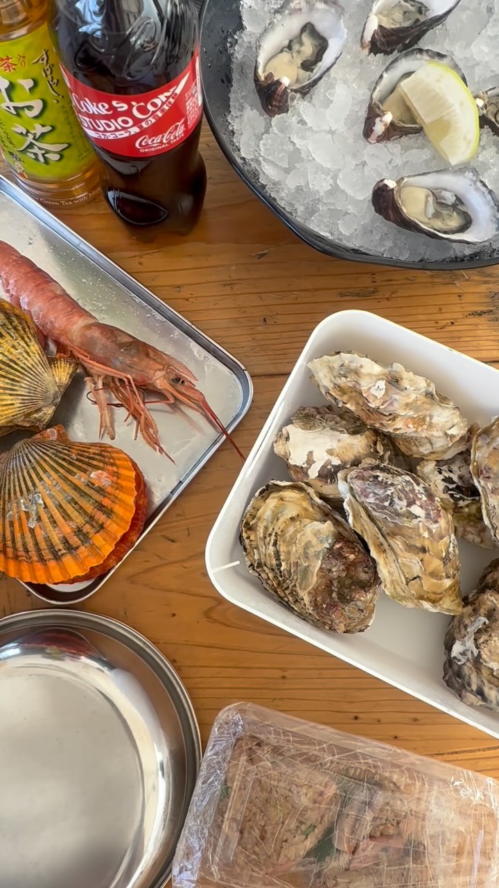 シマノカキ シンエイマル