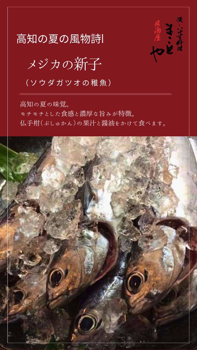 居酒屋 まことや