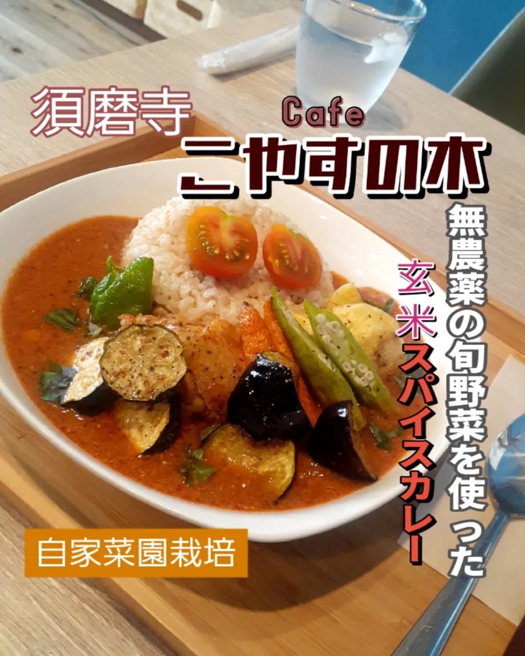 こやすの木
