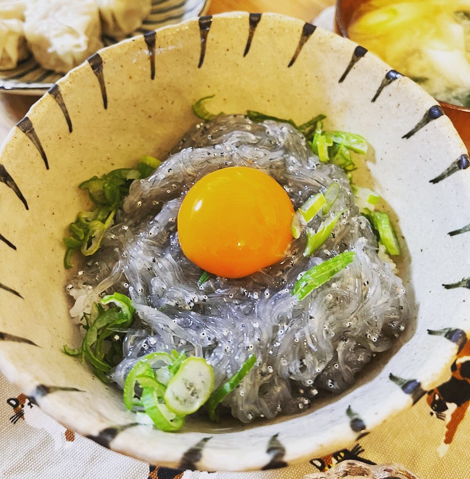 大磯港 湘南しらす ふじ丸