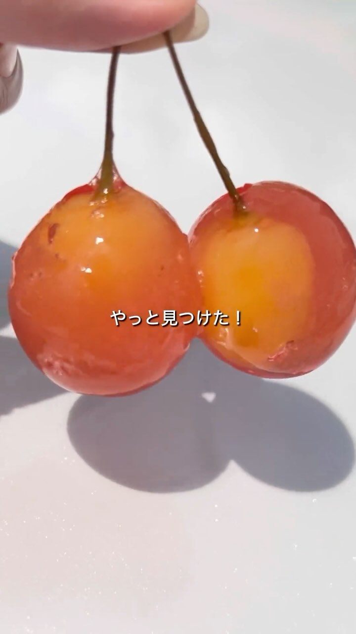 カフェ バイ サークル