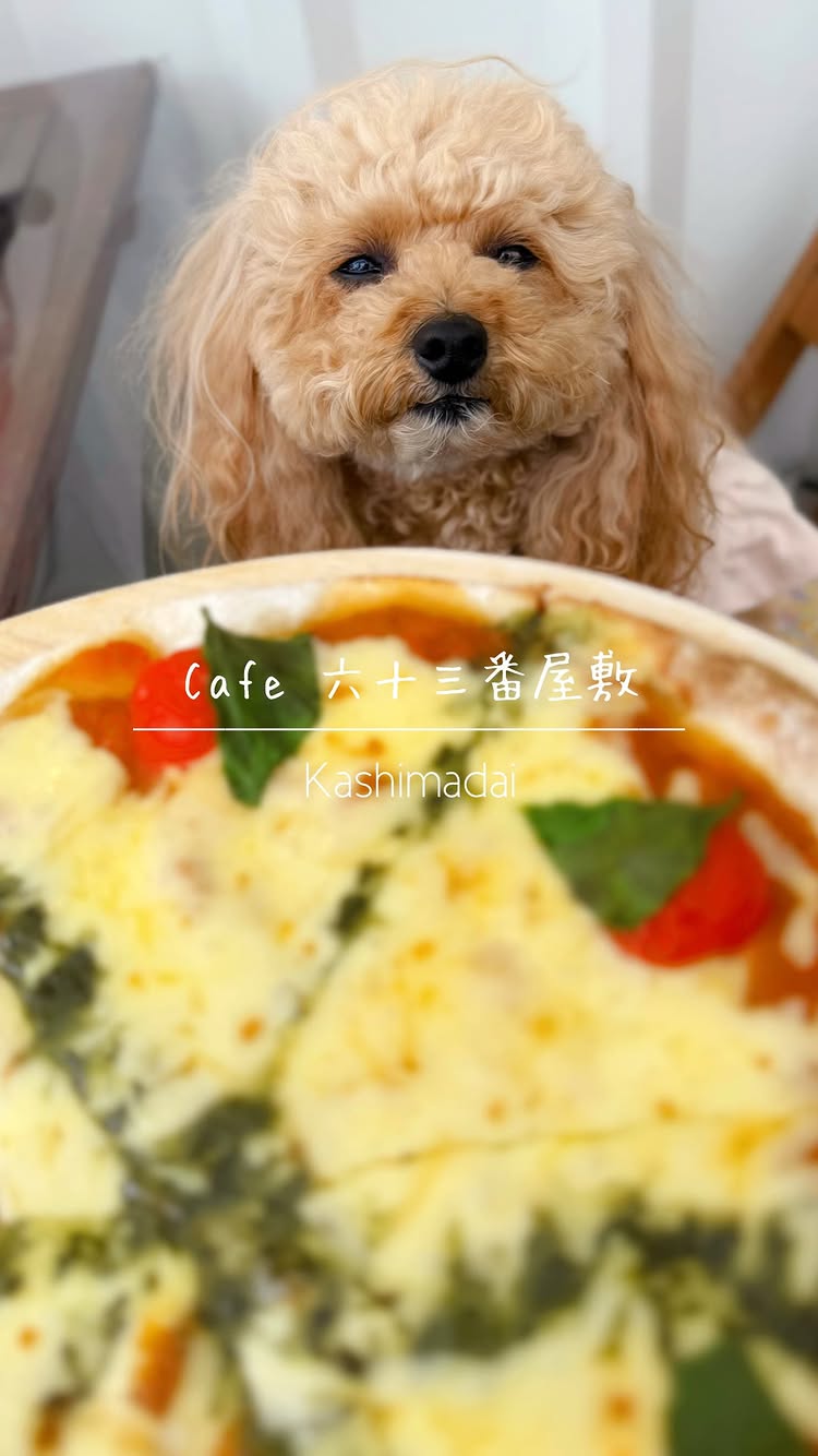 cafe 六十三番屋敷