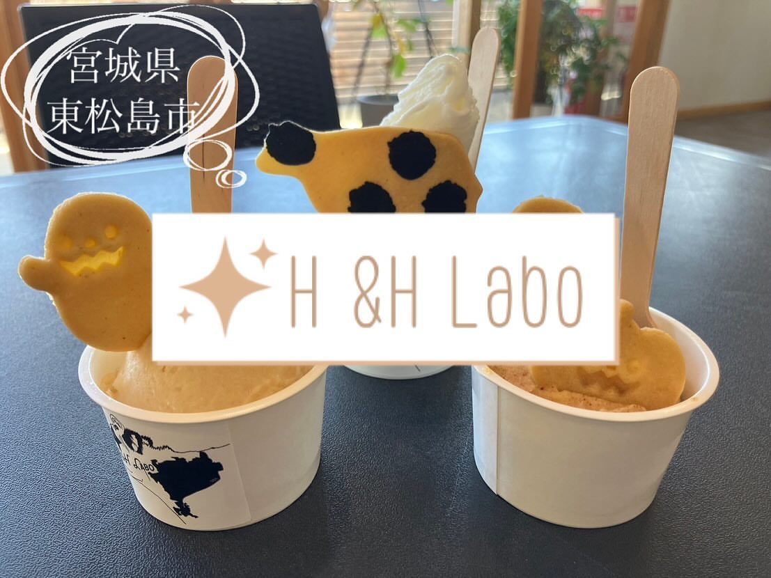 H&H Labo