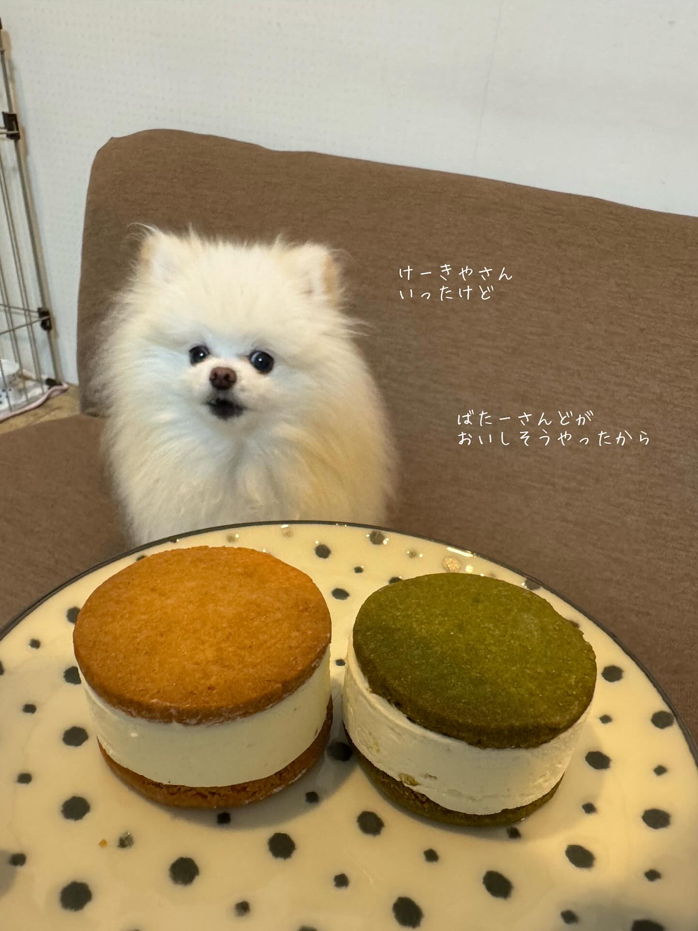 シェ ナカツカ 箕面本店