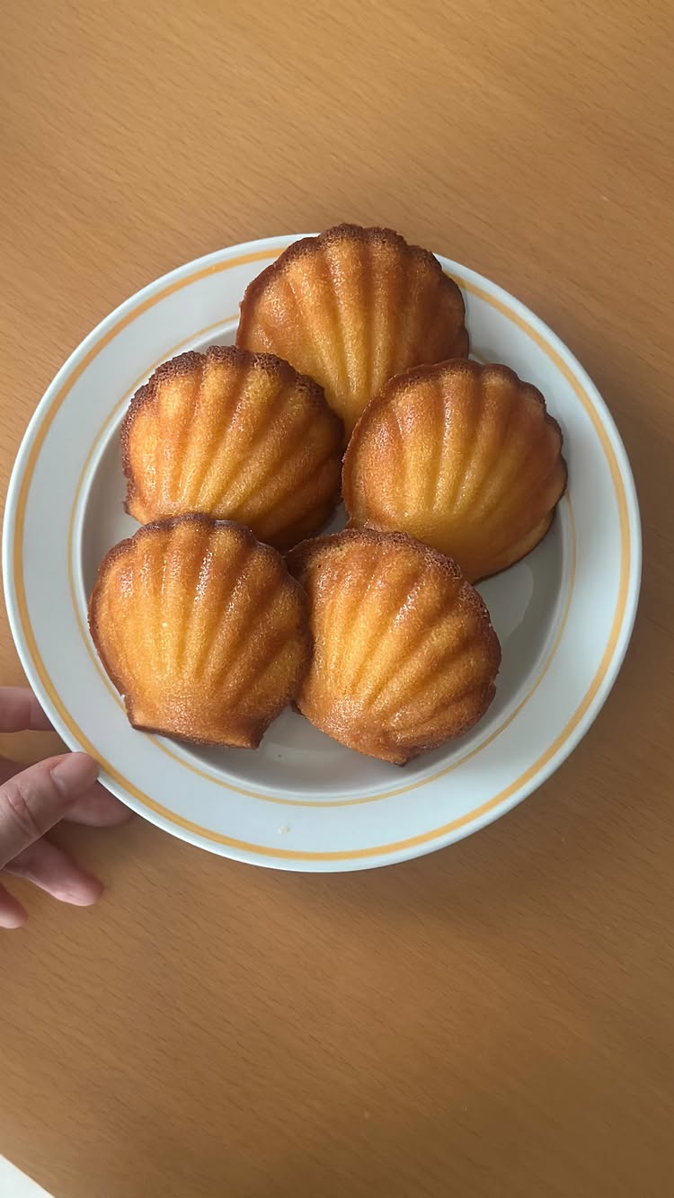 焼きたてマドレーヌとクッキーのお店 Kazuma Kaneishi