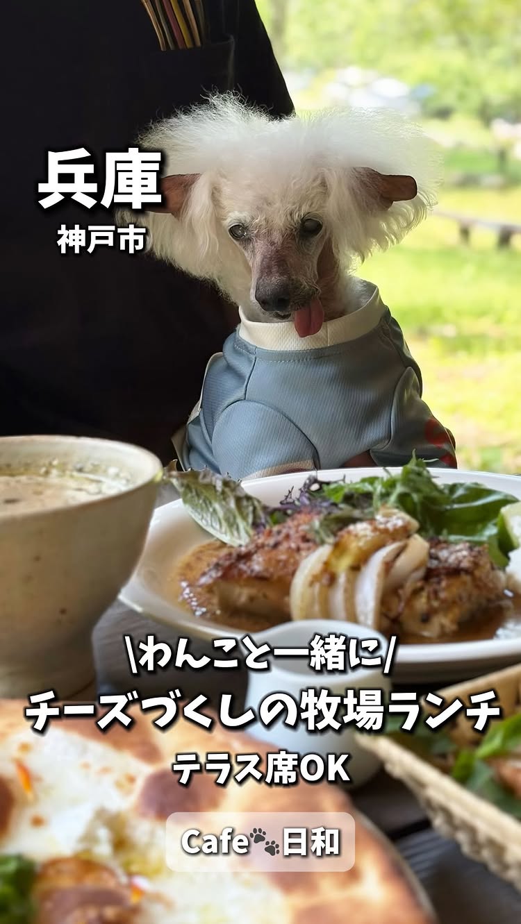 弓削牧場 Yugefarm