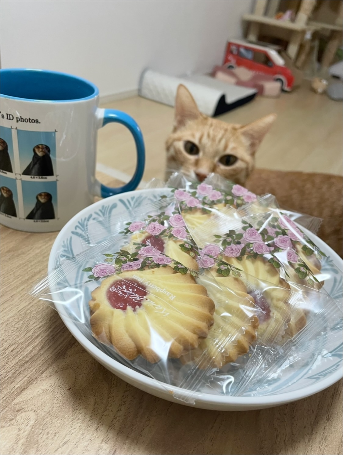 ちぼりスイーツファクトリー 湯河原本店