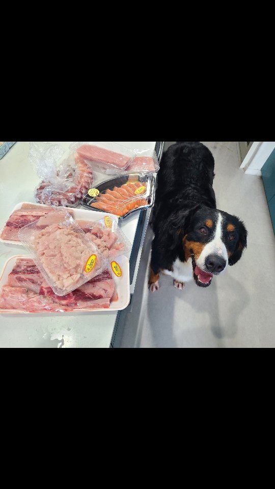 まるせん 木村屋