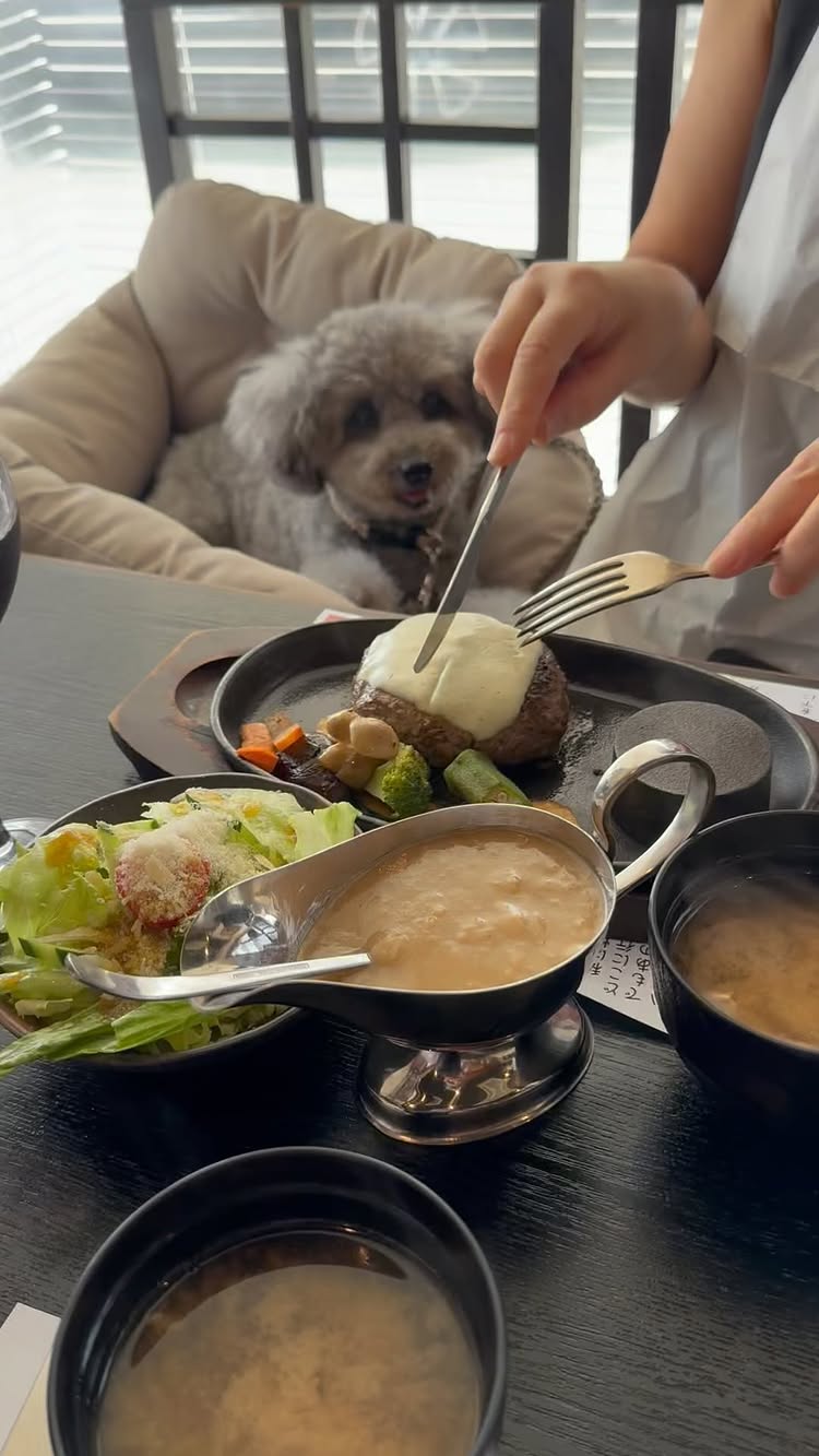 横浜 ハンバーグの虎