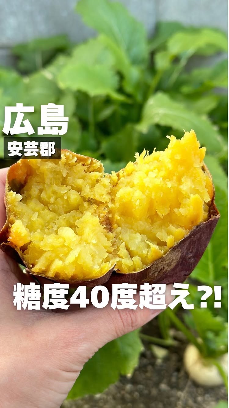 ラムネMILK堂 広島店